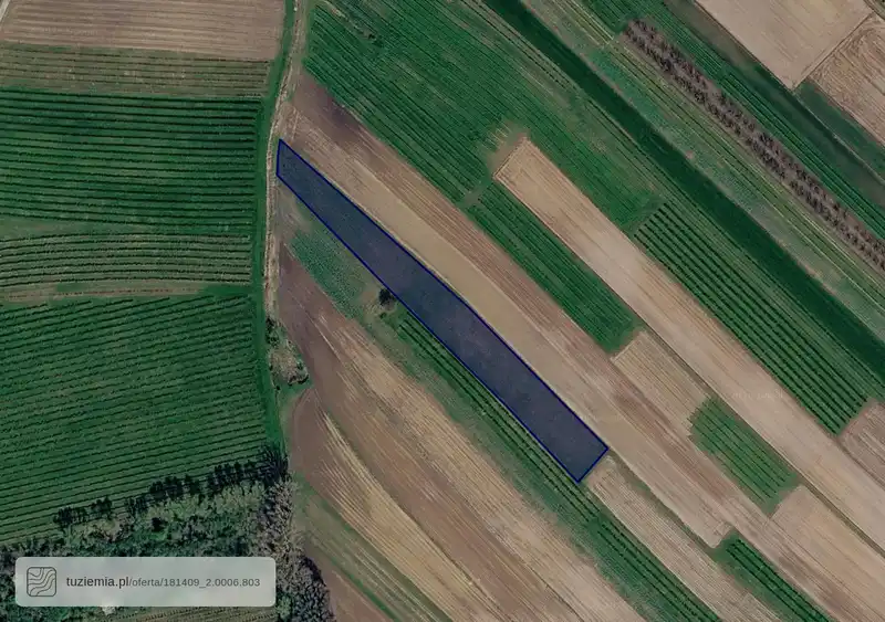 Działka na sprzedaż Siennów