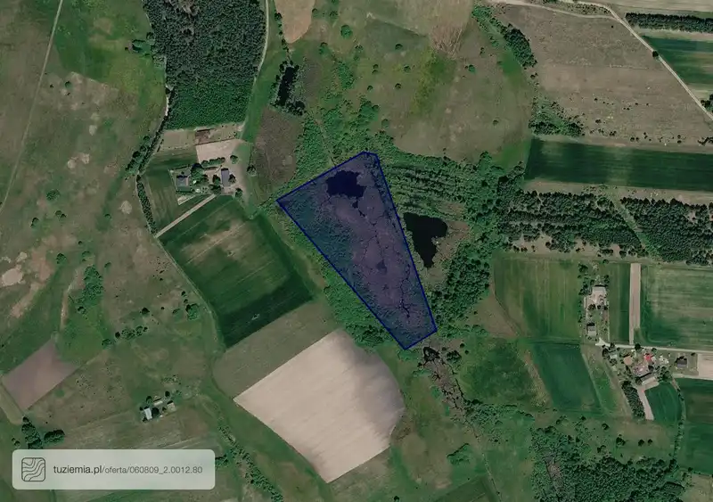 Działka na sprzedaż Pałecznica Kolonia