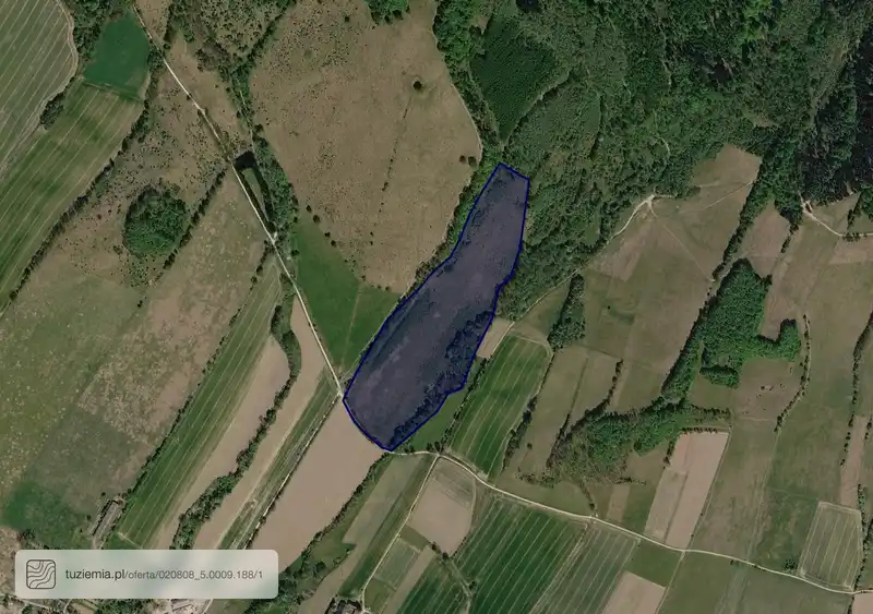 Działka na sprzedaż Trzebieszowice