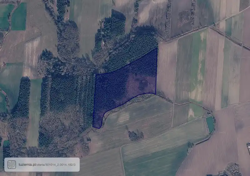 Działka na sprzedaż Wilczyn