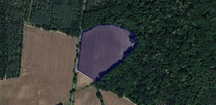 Działka na sprzedaż - WIELKOPOLSKIE, wągrowiecki, Gołańcz, Smogulec 127