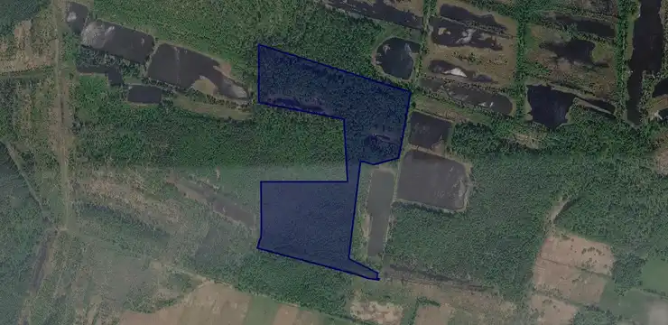Działka na sprzedaż - WIELKOPOLSKIE, obornicki, Ryczywół, Ludomicko 211