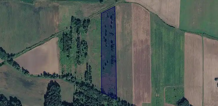 Działka na sprzedaż - LUBUSKIE, żarski, Lubsko, Raszyn 77/1