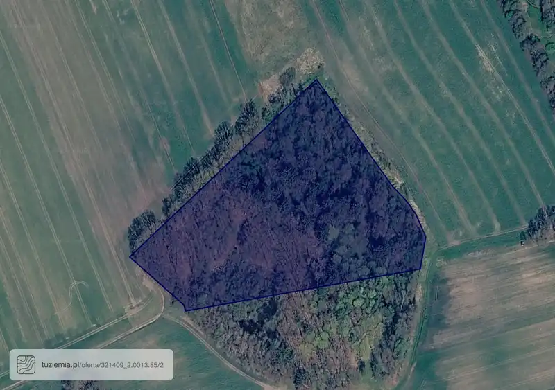 Działka na sprzedaż Tolcz