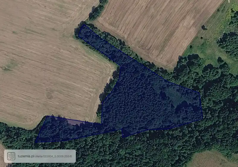 Działka na sprzedaż Sędziszowa