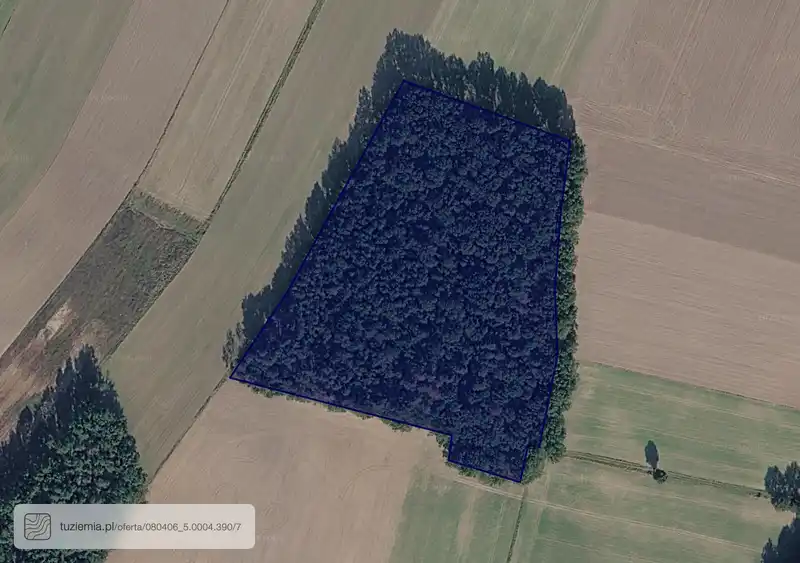 Działka na sprzedaż Borów Wielki