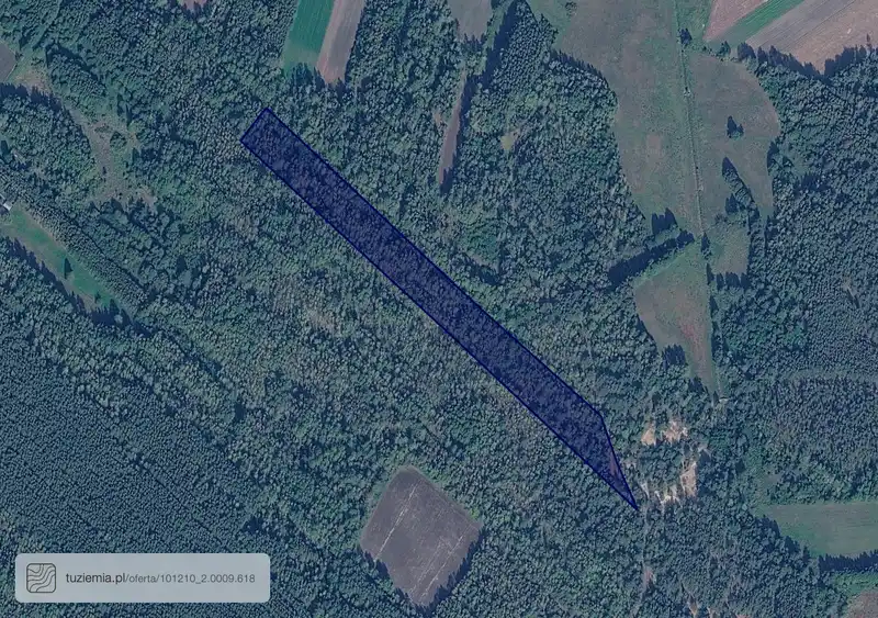 Działka na sprzedaż Kolonia Przerąb