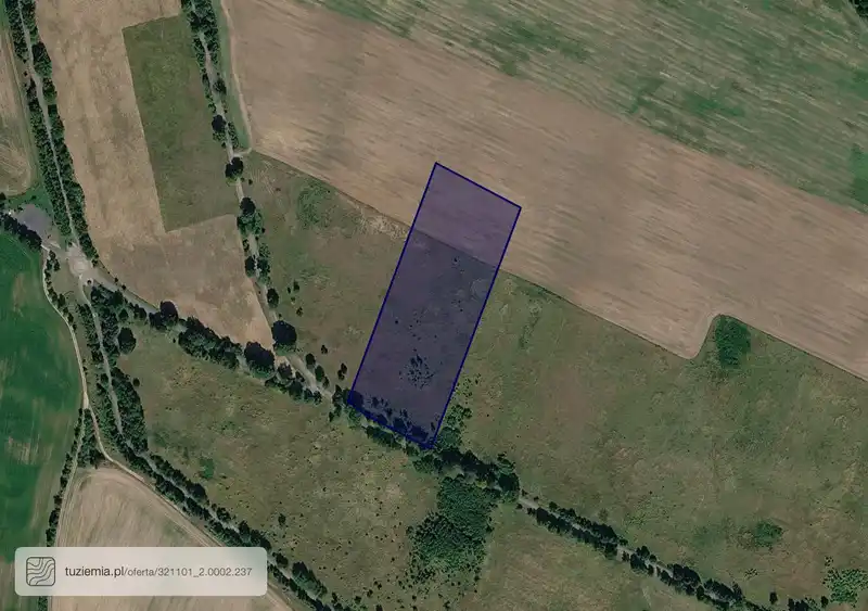Działka na sprzedaż Buk