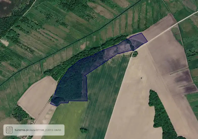 Działka na sprzedaż Parszkowo-Kłanino