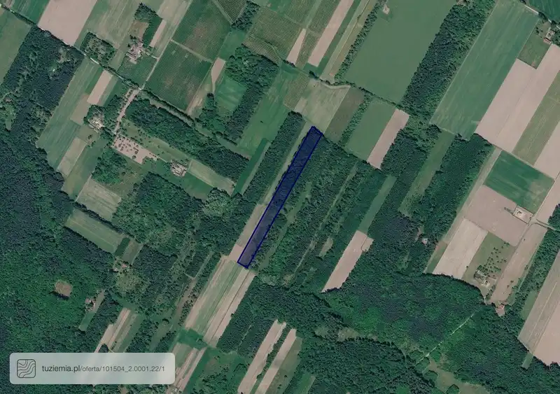 Działka na sprzedaż Borszyce