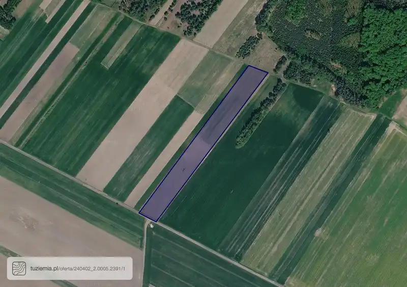 Działka na sprzedaż Dąbrowa Zielona