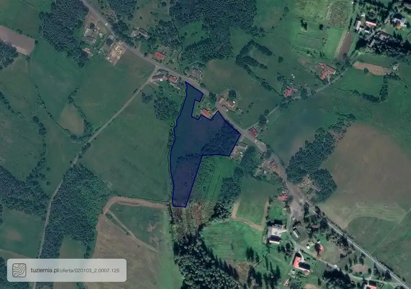 Działka na sprzedaż Pasternik