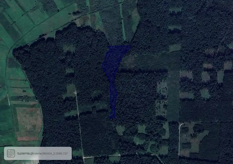Działka na sprzedaż Szpikołosy