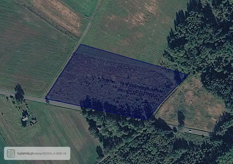 Działka na sprzedaż Pieńsk V