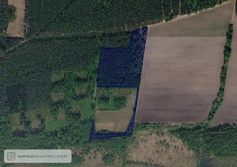 Działka na sprzedaż Ludomicko
