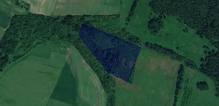 Działka na sprzedaż - DOLNOŚLĄSKIE, wołowski, Wołów, Prawików 455