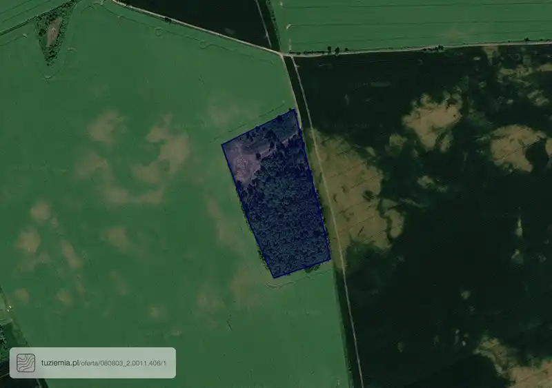 Działka na sprzedaż Radoszyn