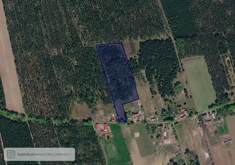 Działka na sprzedaż Trzcinna