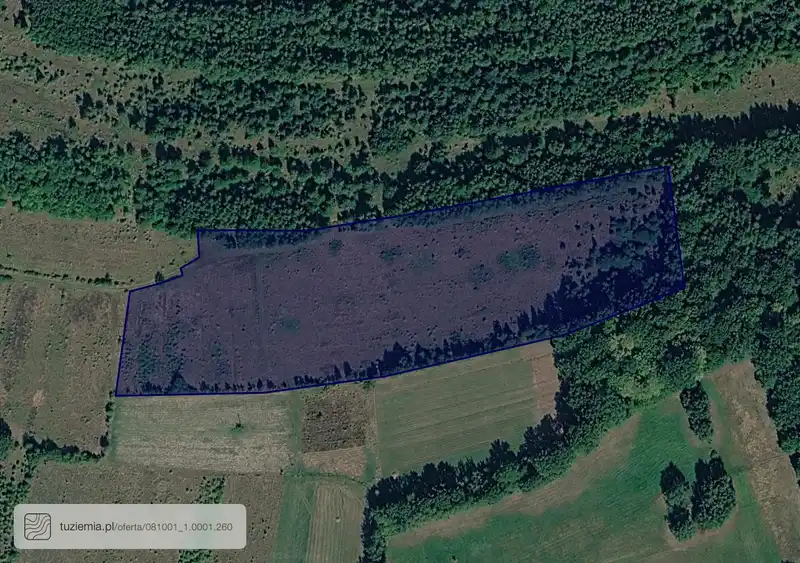 Działka na sprzedaż 0001 Gozdnica