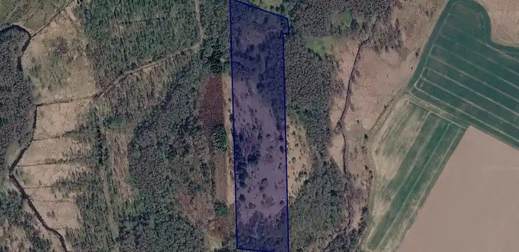 Działka na sprzedaż - ZACHODNIOPOMORSKIE, gryficki, Gryfice, Wołczyno 25