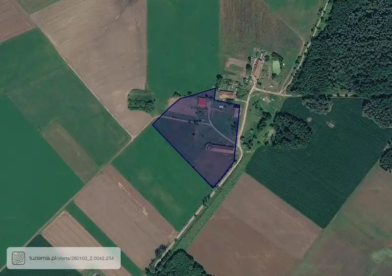 Działka na sprzedaż Minty