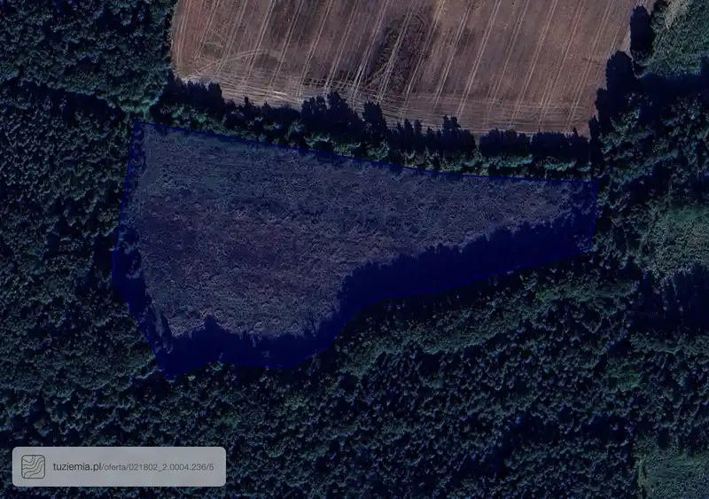 Działka na sprzedaż Kwietno