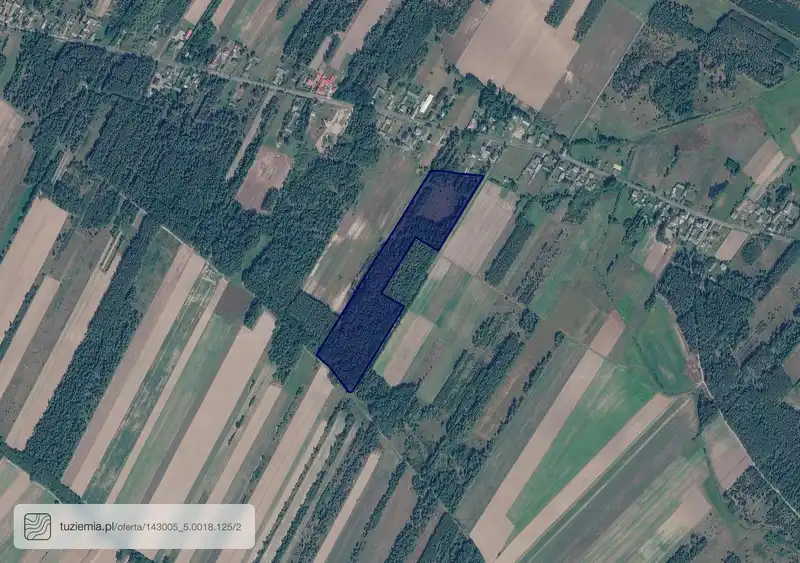Działka na sprzedaż Krzcięcin