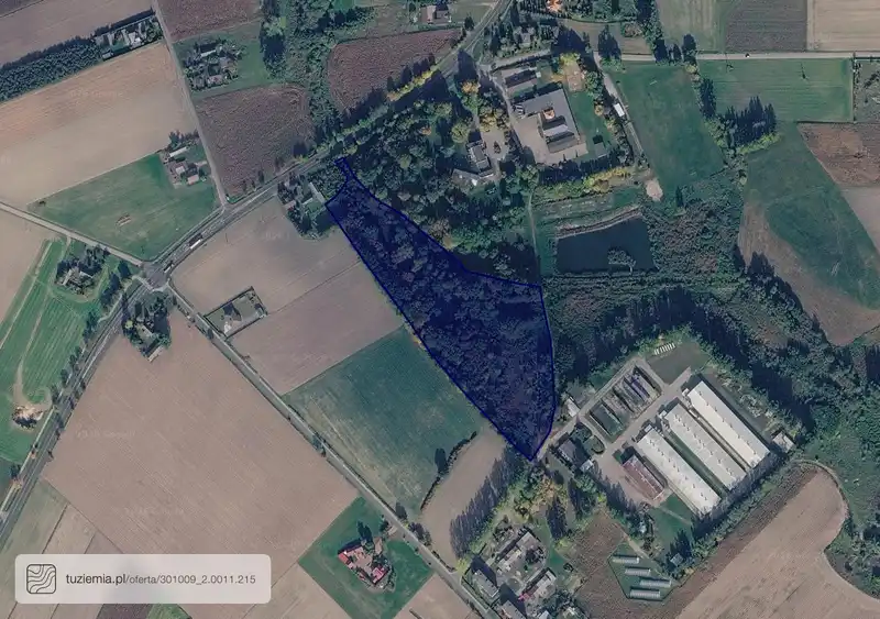 Działka na sprzedaż Lisewo