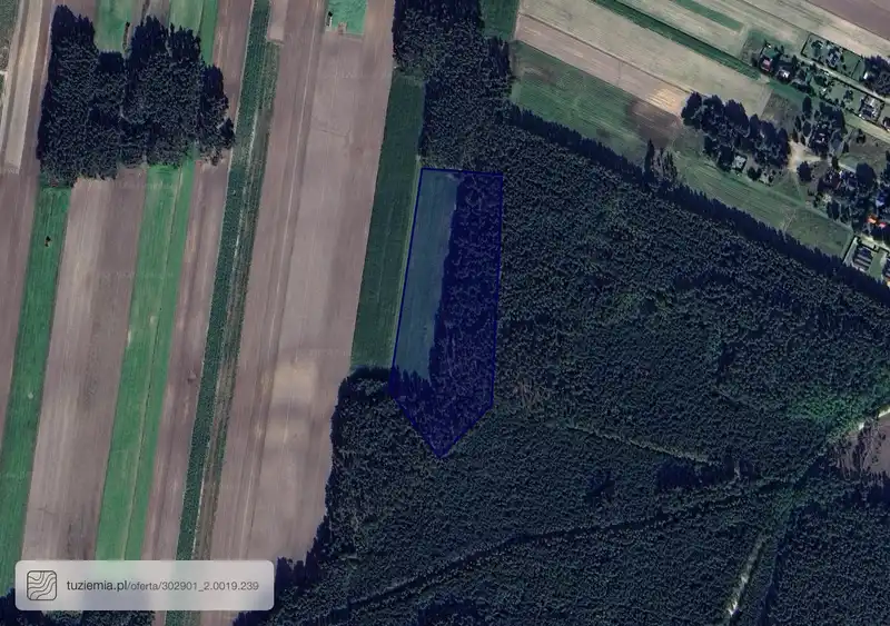 Działka na sprzedaż Radomierz