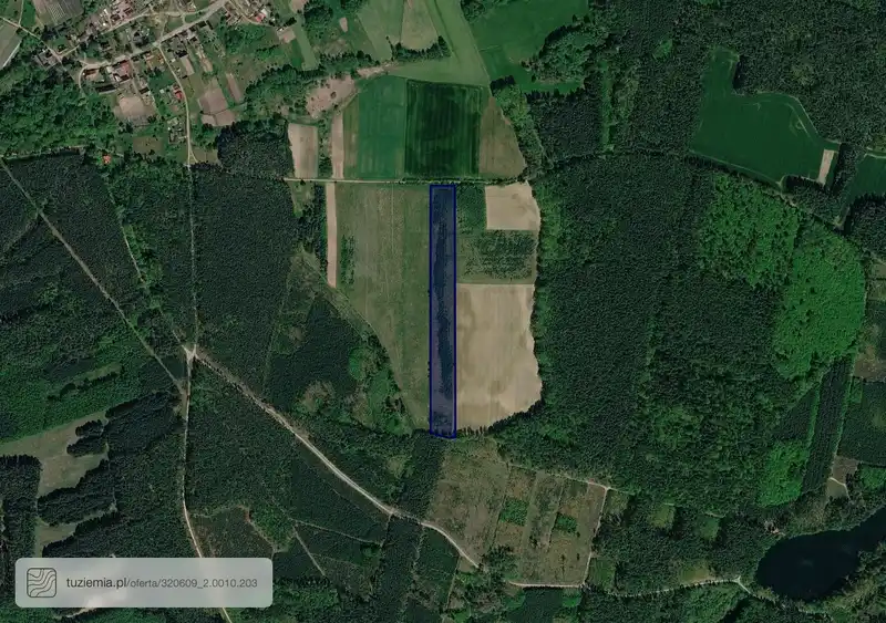 Działka na sprzedaż Rynica