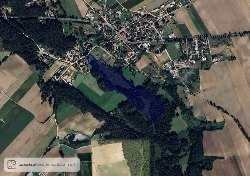 Działka na sprzedaż Kamionna