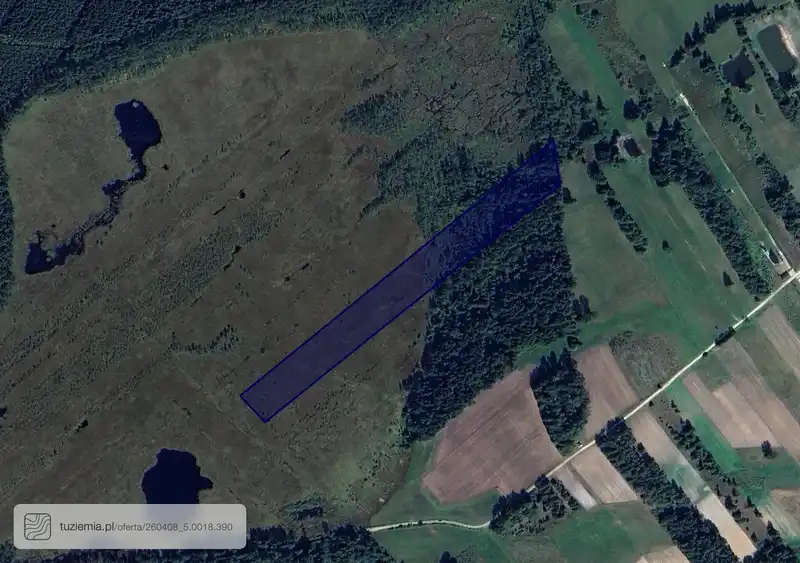 Działka na sprzedaż Jedle