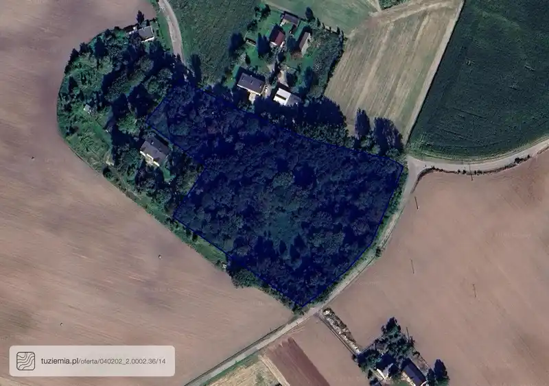 Działka na sprzedaż Buczek