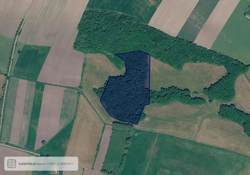 Działka na sprzedaż Dębsk
