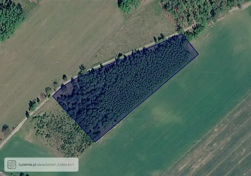 Działka na sprzedaż Gwieździn