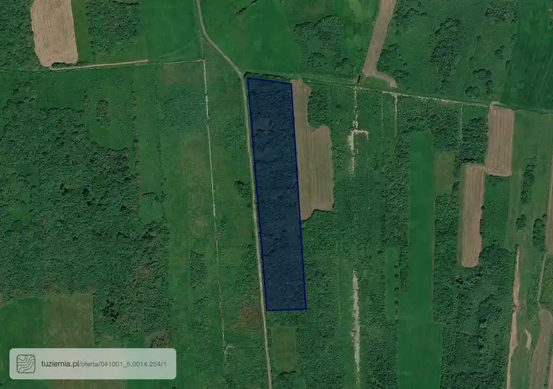 Działka na sprzedaż Ludwikowo