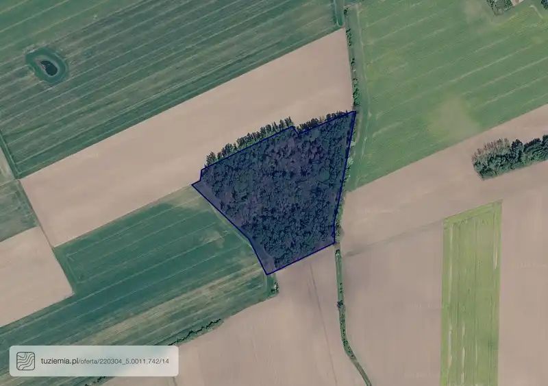 Działka na sprzedaż Strzeczona