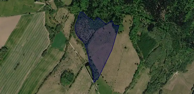 Działka na sprzedaż - DOLNOŚLĄSKIE, kłodzki, Lądek-Zdrój, Trzebieszowice 188/7