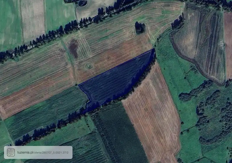 Działka na sprzedaż Wielowieś