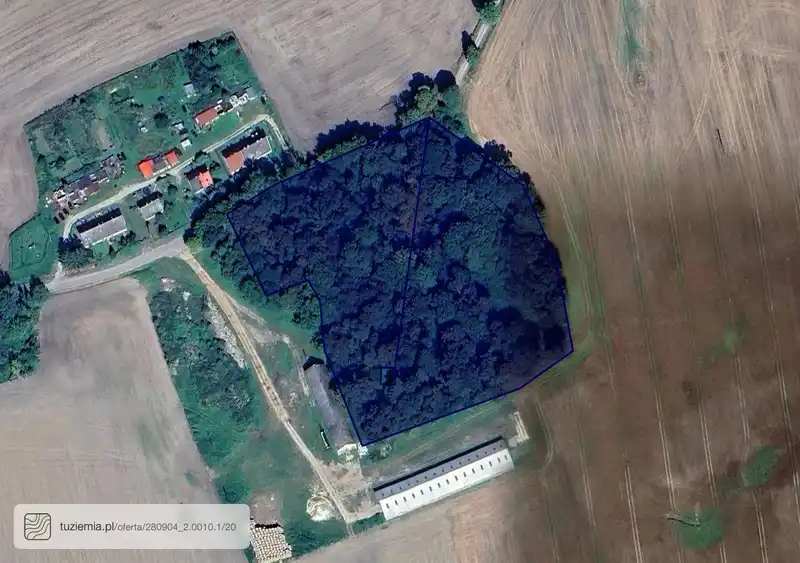 Działka na sprzedaż Świękity