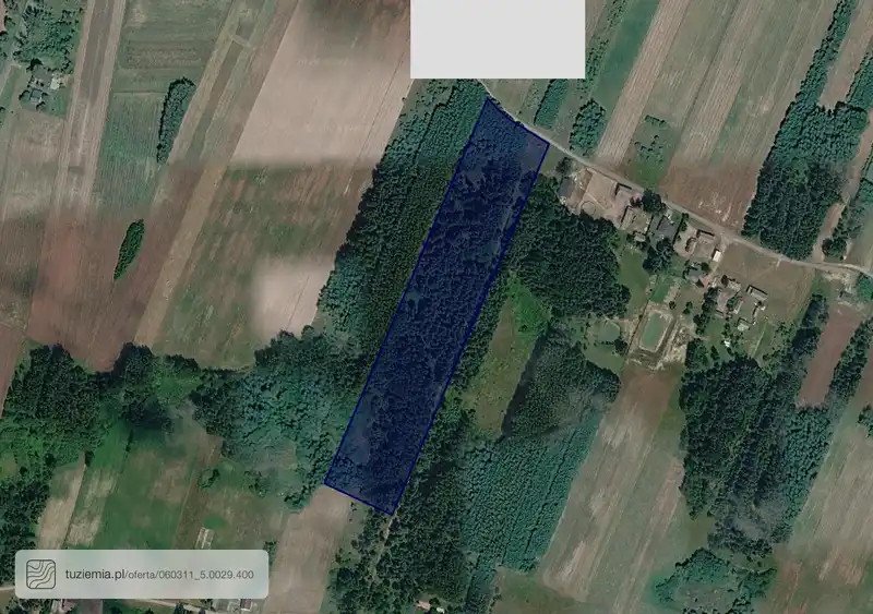Działka na sprzedaż Wola Korybutowa Pierwsza