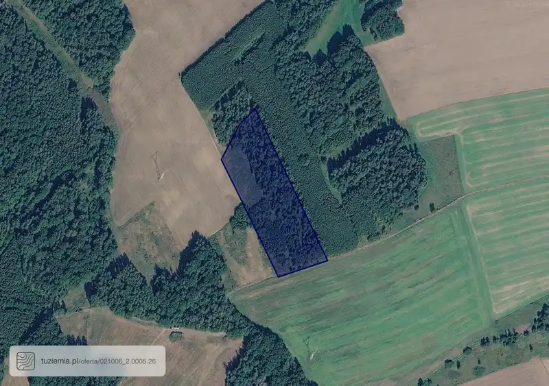 Działka na sprzedaż Zalipie
