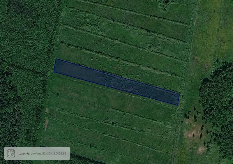 Działka na sprzedaż Wolinia Leśnictwo