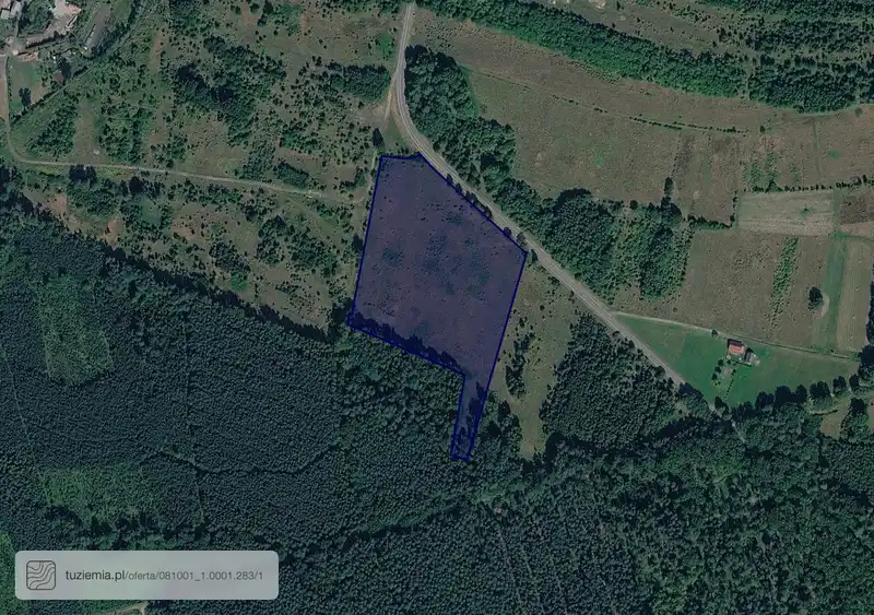 Działka na sprzedaż 0001 Gozdnica