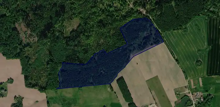Działka na sprzedaż - WARMIŃSKO-MAZURSKIE, elbląski, Godkowo, Gwiździny 276/5