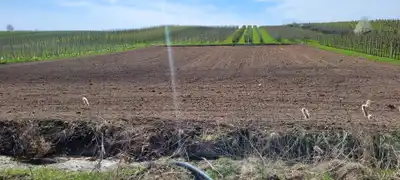 Zdjęcie 5