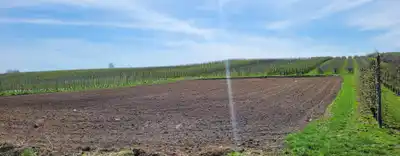 Zdjęcie 4