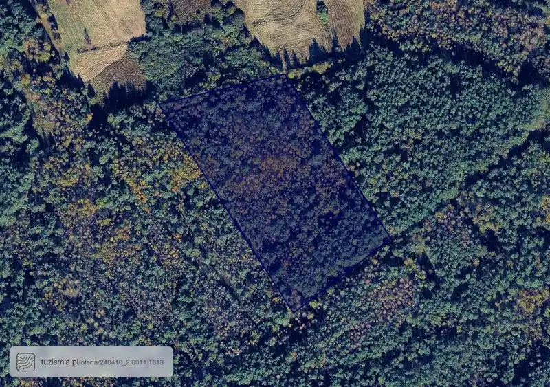 Działka na sprzedaż Krasice