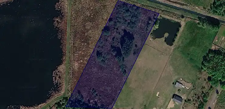 Działka na sprzedaż - LUBUSKIE, międzyrzecki, Trzciel, Świdwowiec 2046/2