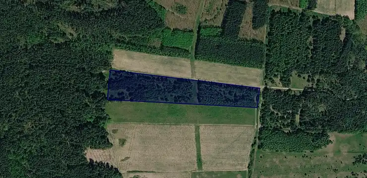 Działka na sprzedaż - ZACHODNIOPOMORSKIE, gryfiński, Chojna, Rurka 341
